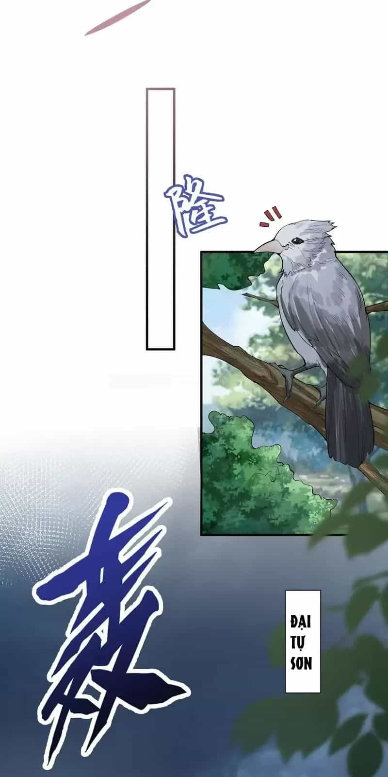 Ta Vô Địch Lúc Nào - Chương 255 - ảnh 34