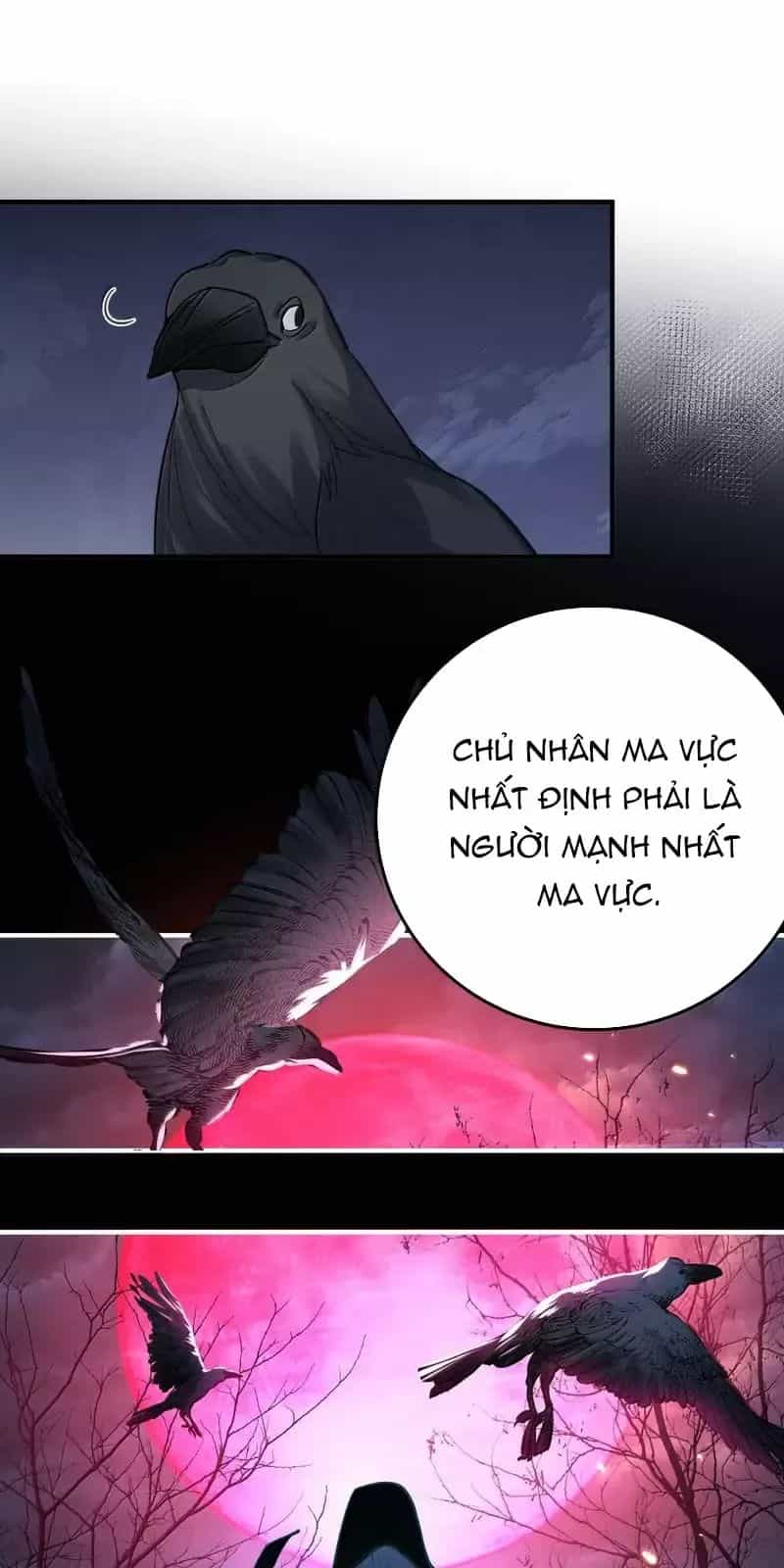 Ta Vô Địch Lúc Nào - Chương 270 - ảnh 5