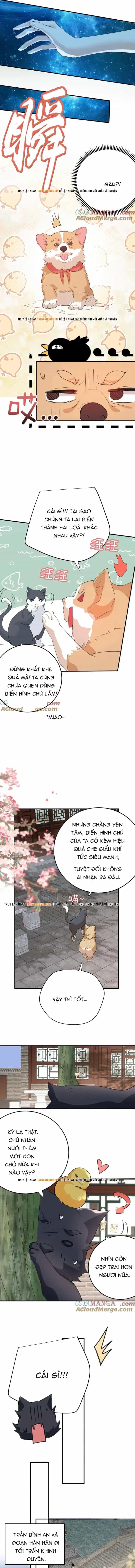 Ta Vô Địch Lúc Nào - Chương 303 - ảnh 3