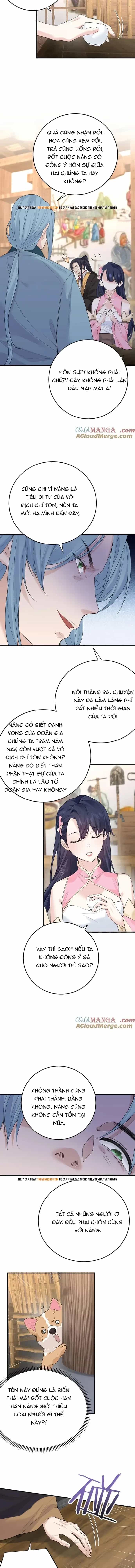 Ta Vô Địch Lúc Nào - Chương 304 - ảnh 5