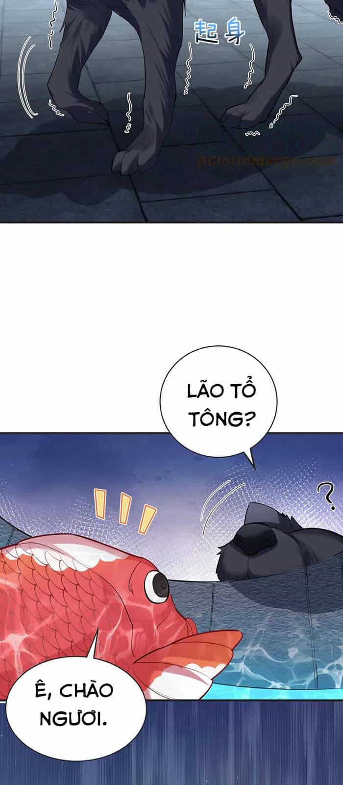 Ta Vô Địch Lúc Nào - Chương 37 - ảnh 13