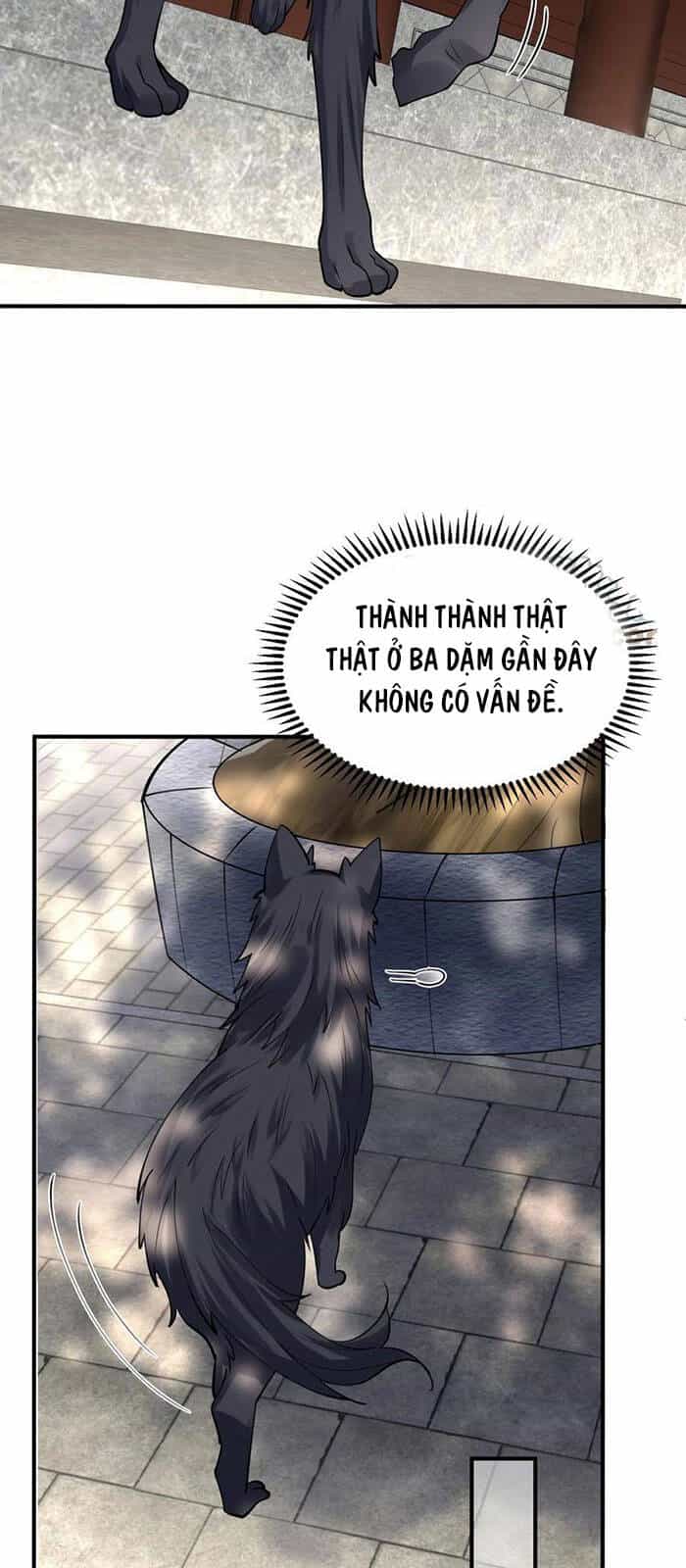 Ta Vô Địch Lúc Nào - Chương 39 - ảnh 4