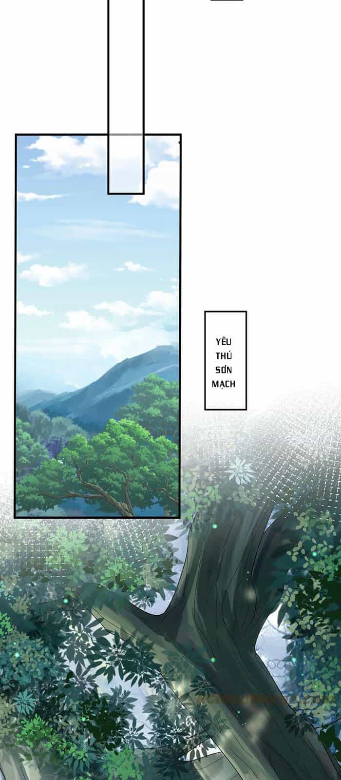 Ta Vô Địch Lúc Nào - Chương 52 - ảnh 13