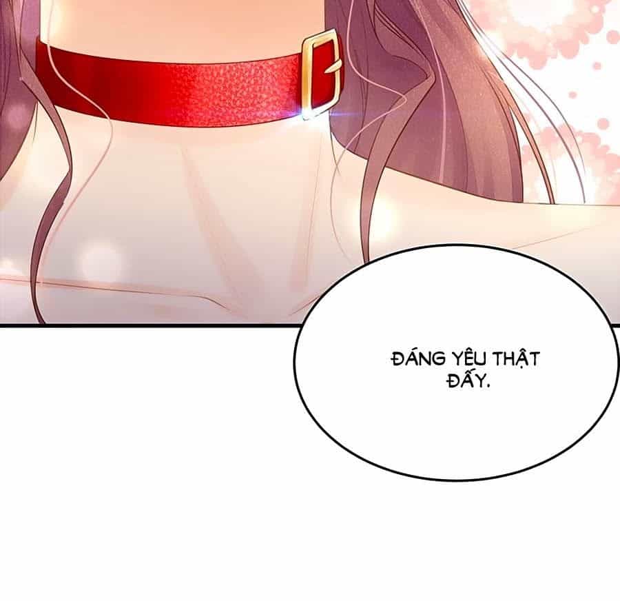 Ta Với Bốn Vị Cố Tiên Sinh - Chương 48 - ảnh 14
