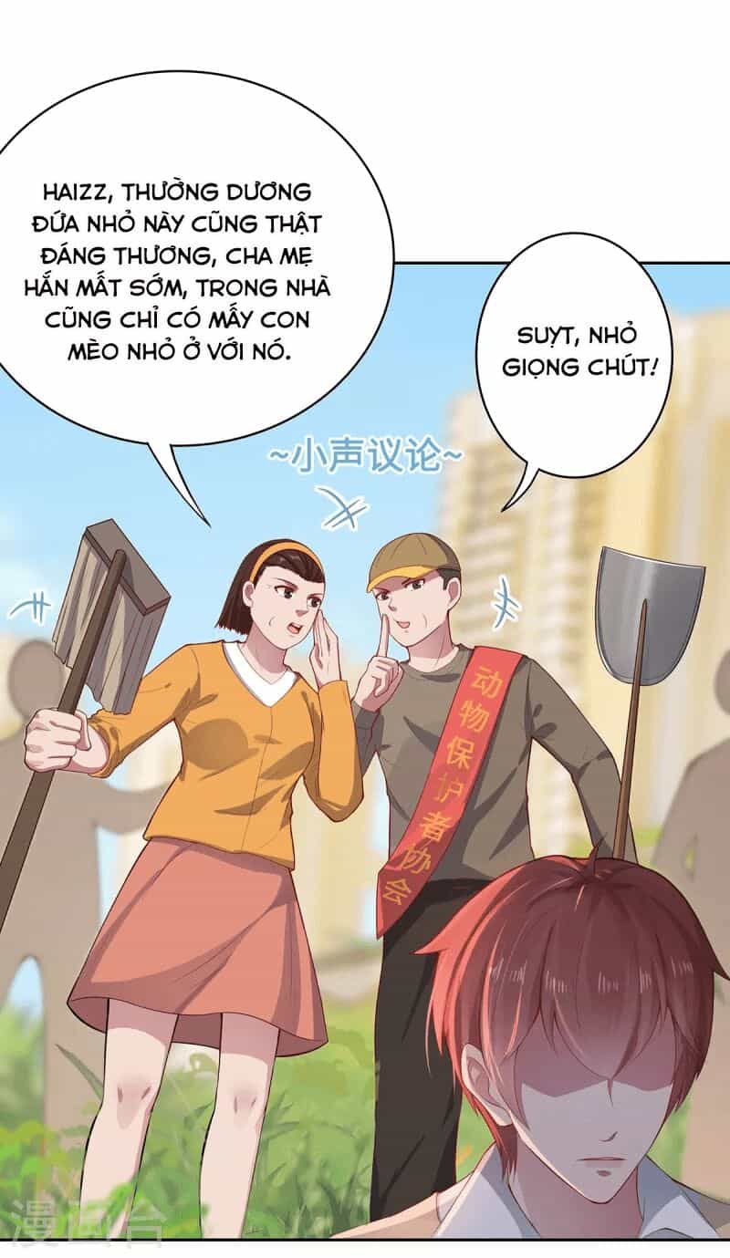 Ta Vốn Là Mèo - Chương 2 - ảnh 12