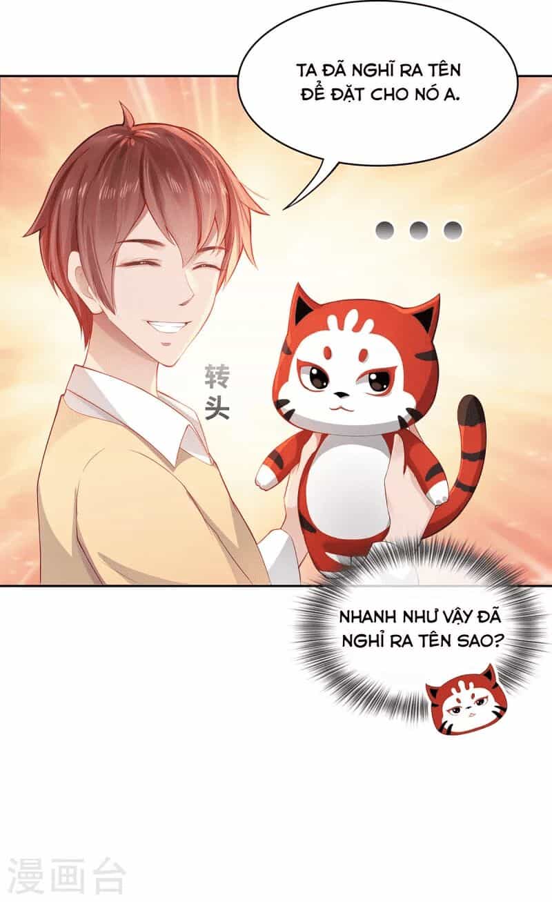 Ta Vốn Là Mèo - Chương 2 - ảnh 15