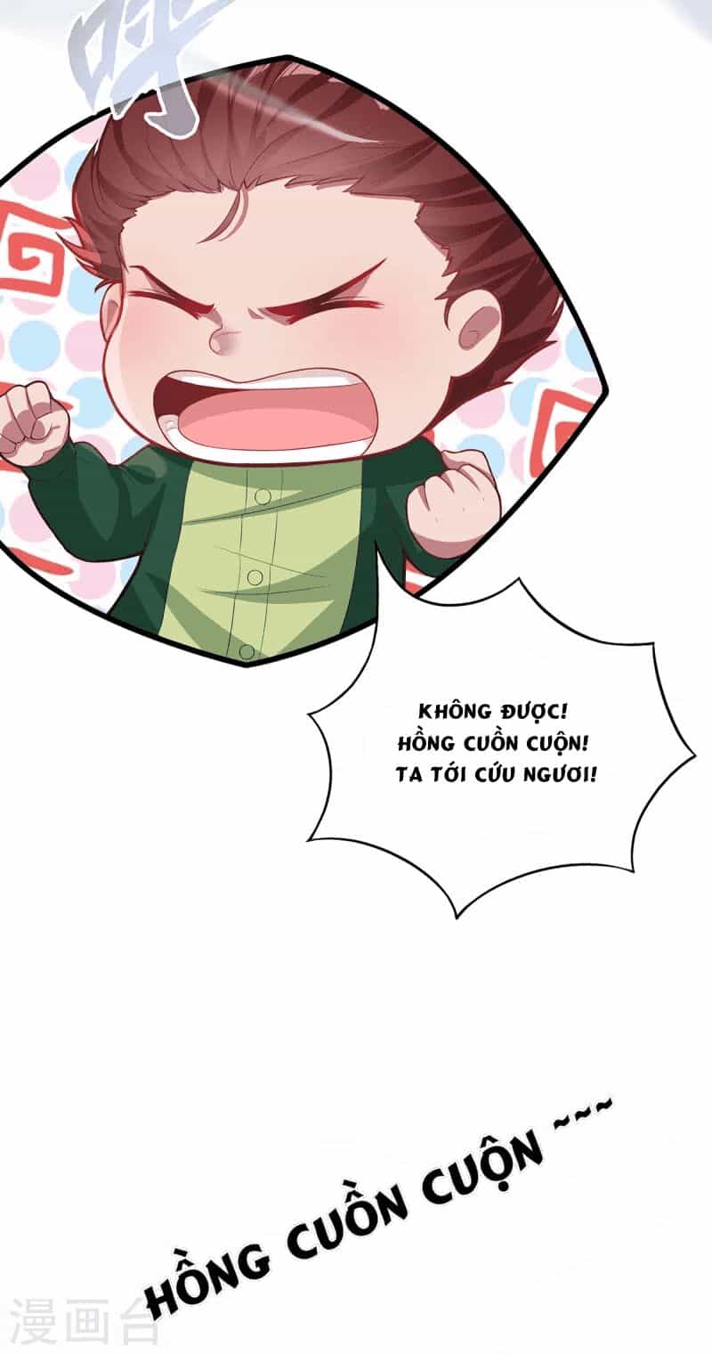 Ta Vốn Là Mèo - Chương 3 - ảnh 48