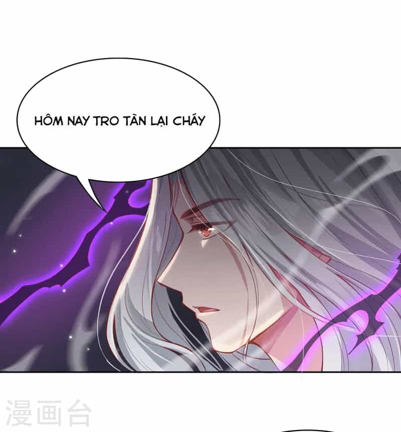 Ta Vốn Là Mèo - Chương 3 - ảnh 5