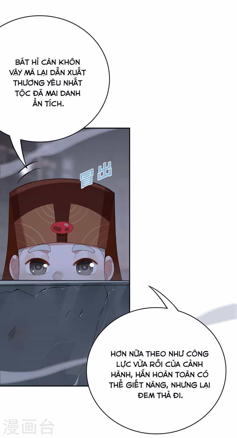 Ta Vốn Là Mèo - Chương 4 - ảnh 29