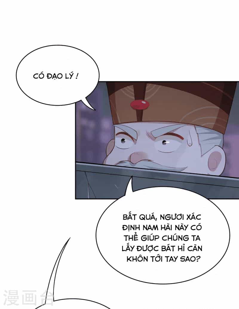 Ta Vốn Là Mèo - Chương 4 - ảnh 32