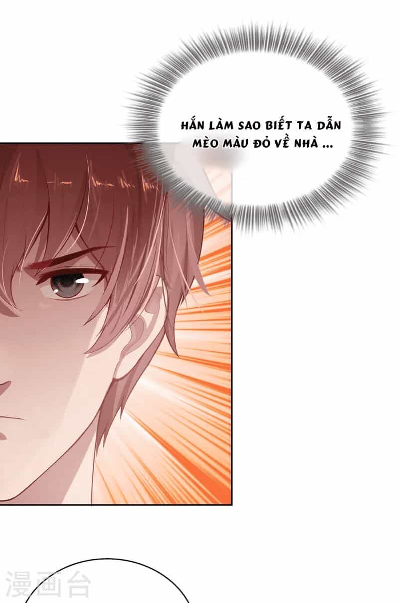 Ta Vốn Là Mèo - Chương 4 - ảnh 53