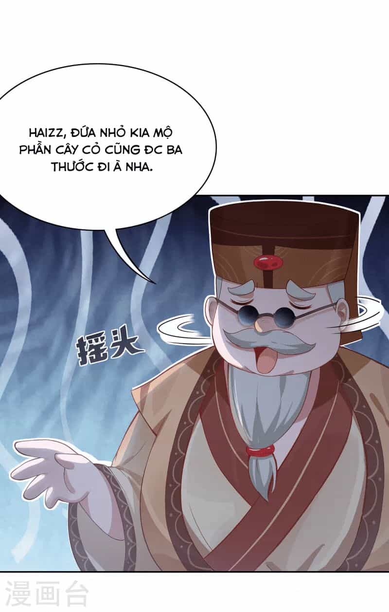 Ta Vốn Là Mèo - Chương 4 - ảnh 55
