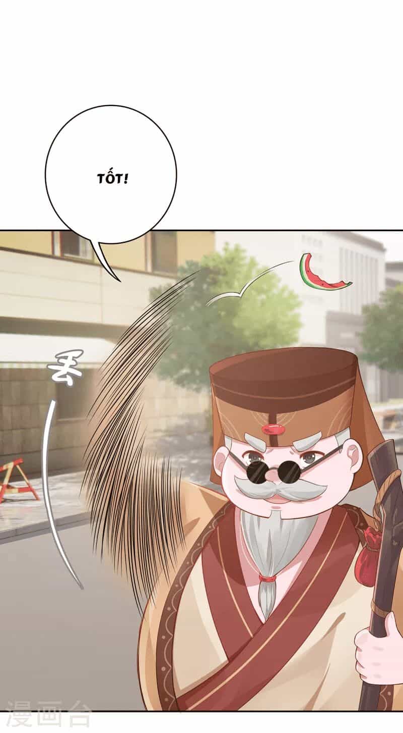 Ta Vốn Là Mèo - Chương 5 - ảnh 17