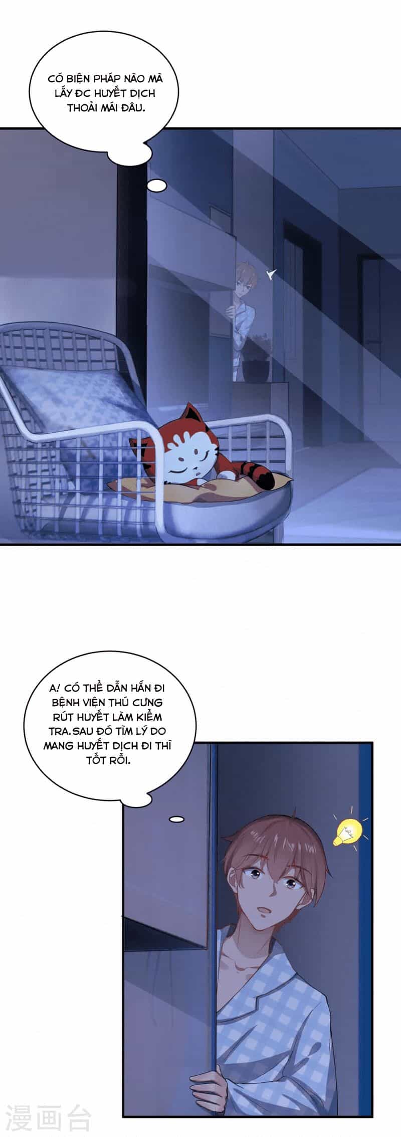 Ta Vốn Là Mèo - Chương 6 - ảnh 28