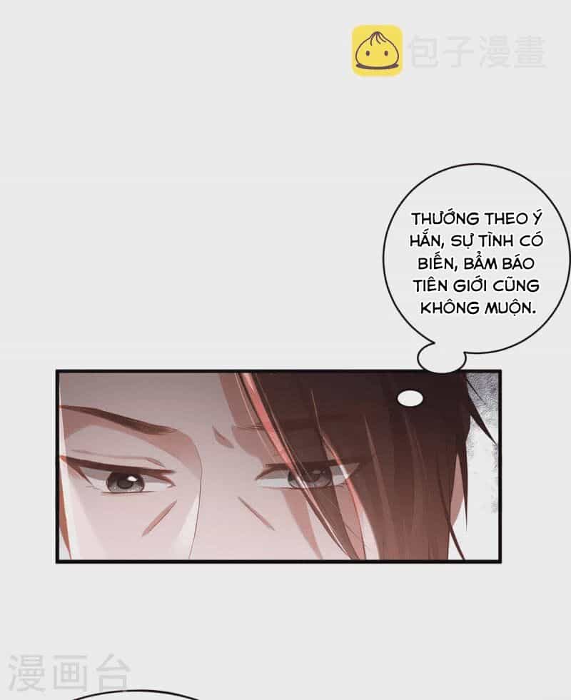 Ta Vốn Là Mèo - Chương 7 - ảnh 10