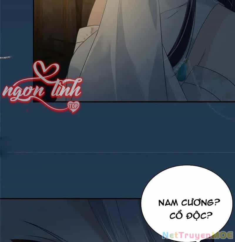 Tà Vương Phúc Hắc Sủng Nhập Cốt - Chương 193 - ảnh 13
