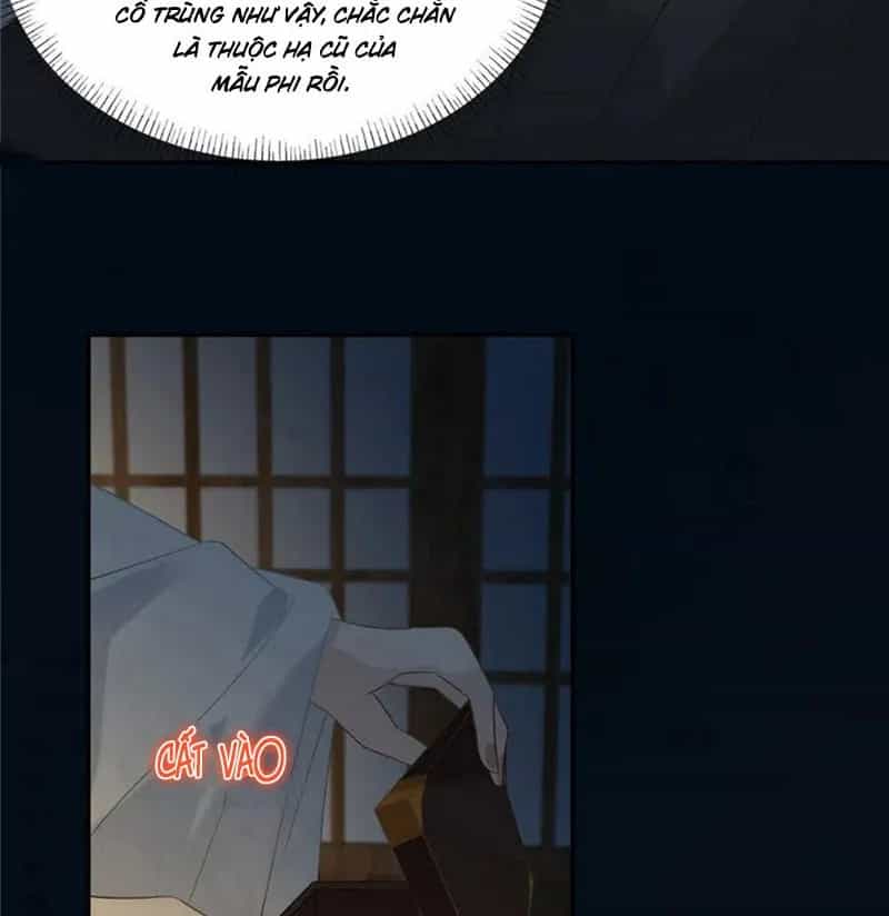 Tà Vương Phúc Hắc Sủng Nhập Cốt - Chương 193 - ảnh 24