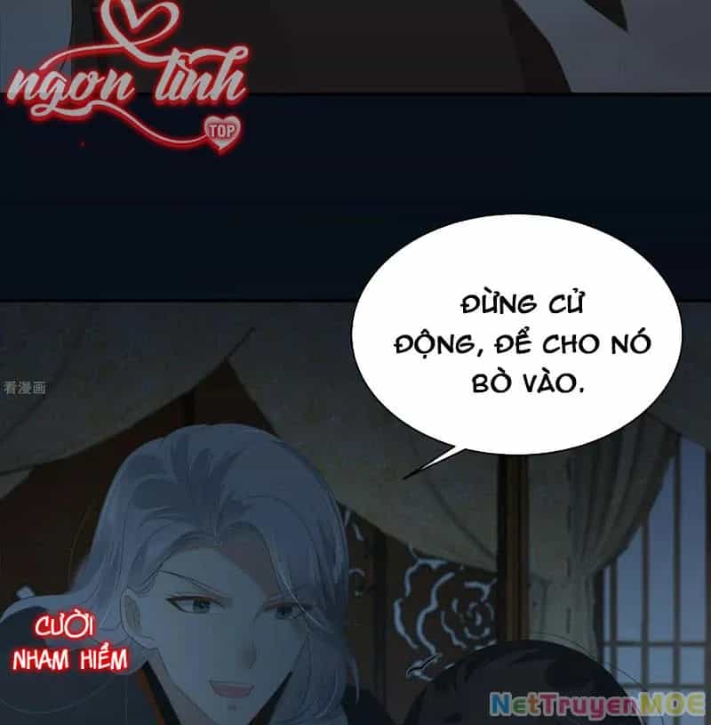 Tà Vương Phúc Hắc Sủng Nhập Cốt - Chương 194 - ảnh 8