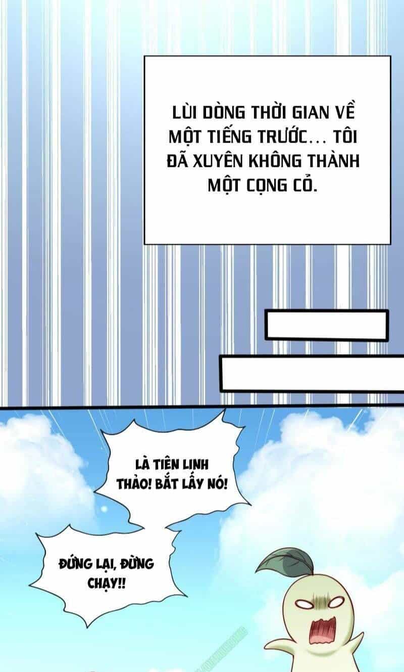 Tại Dị Giới Ta Biến Thành Yêu Cây - Chương 1 - ảnh 3