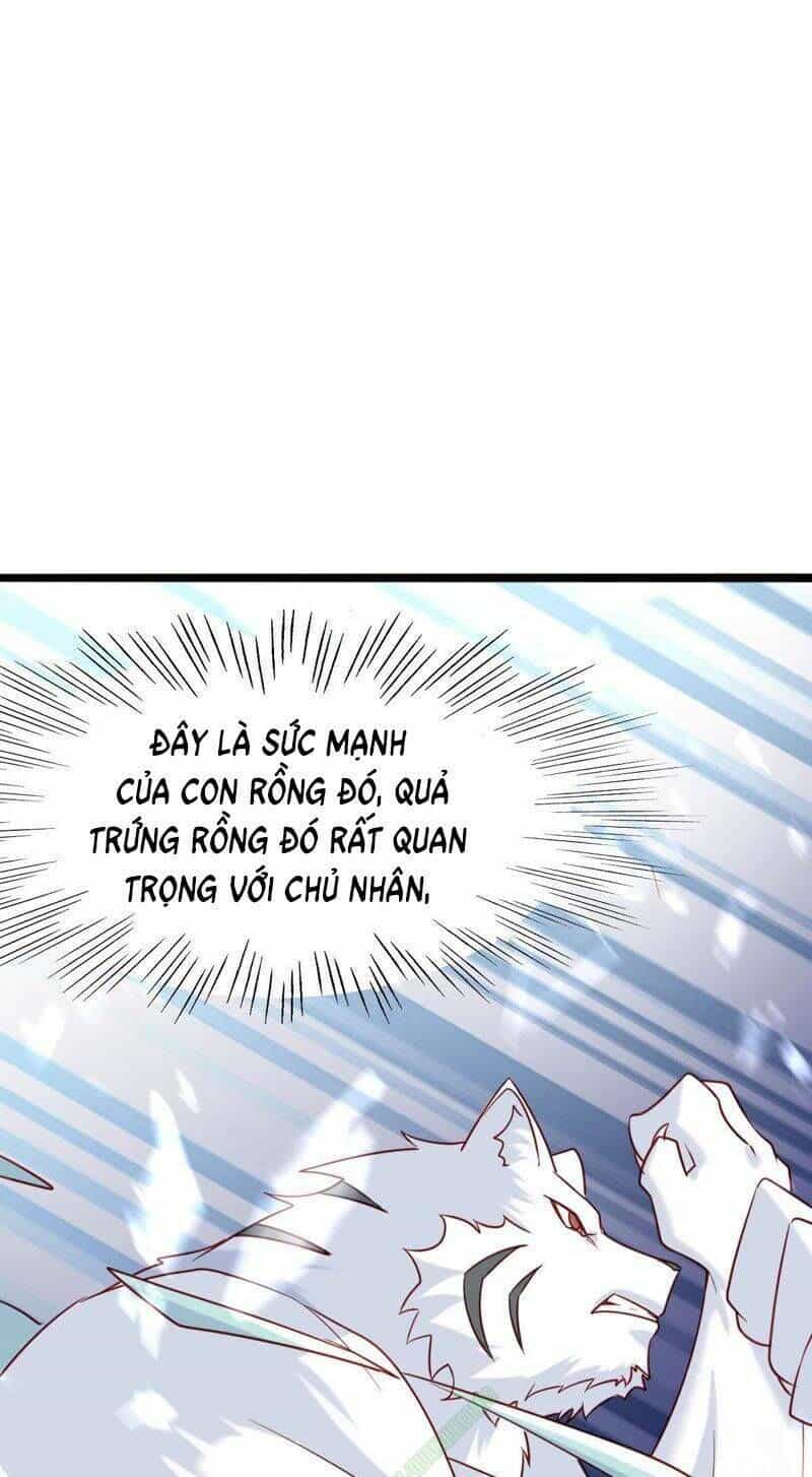 Tại Dị Giới Ta Biến Thành Yêu Cây - Chương 28 - ảnh 31
