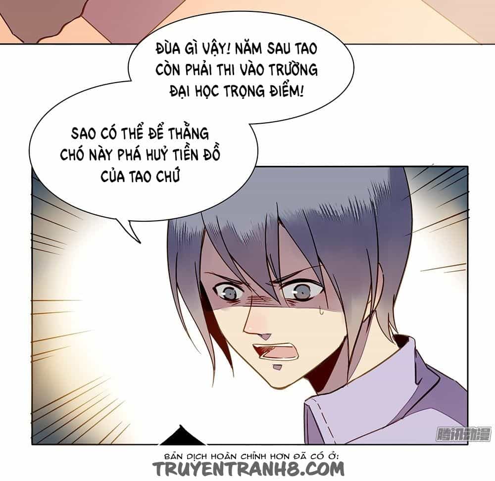 Tại Hạ Là Thần Tình Yêu - Chương 12 - ảnh 13