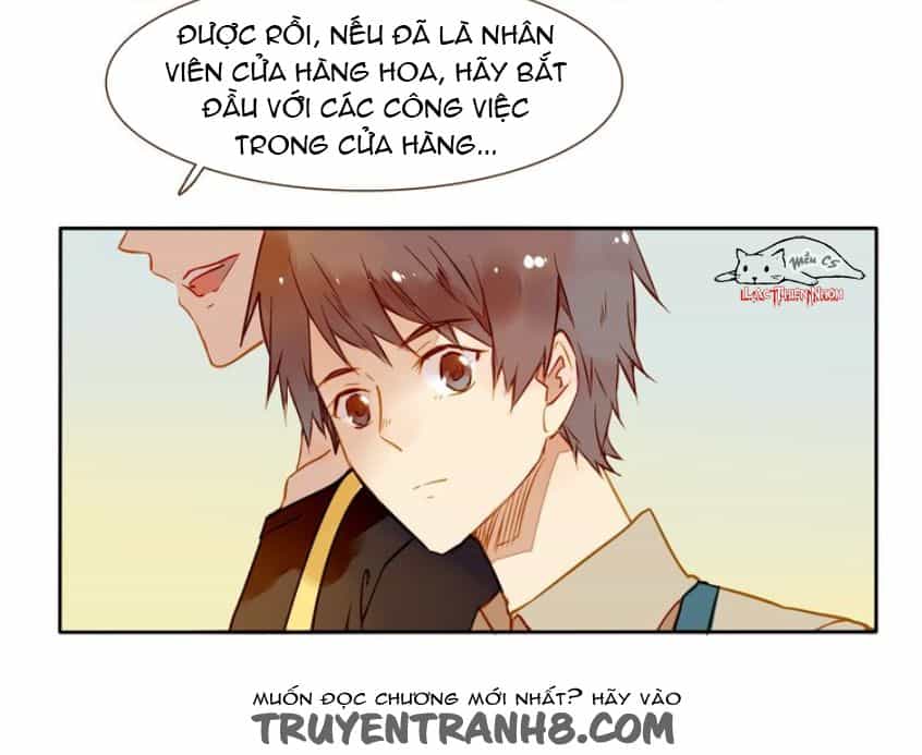 Tại Hạ Là Thần Tình Yêu - Chương 24 - ảnh 4