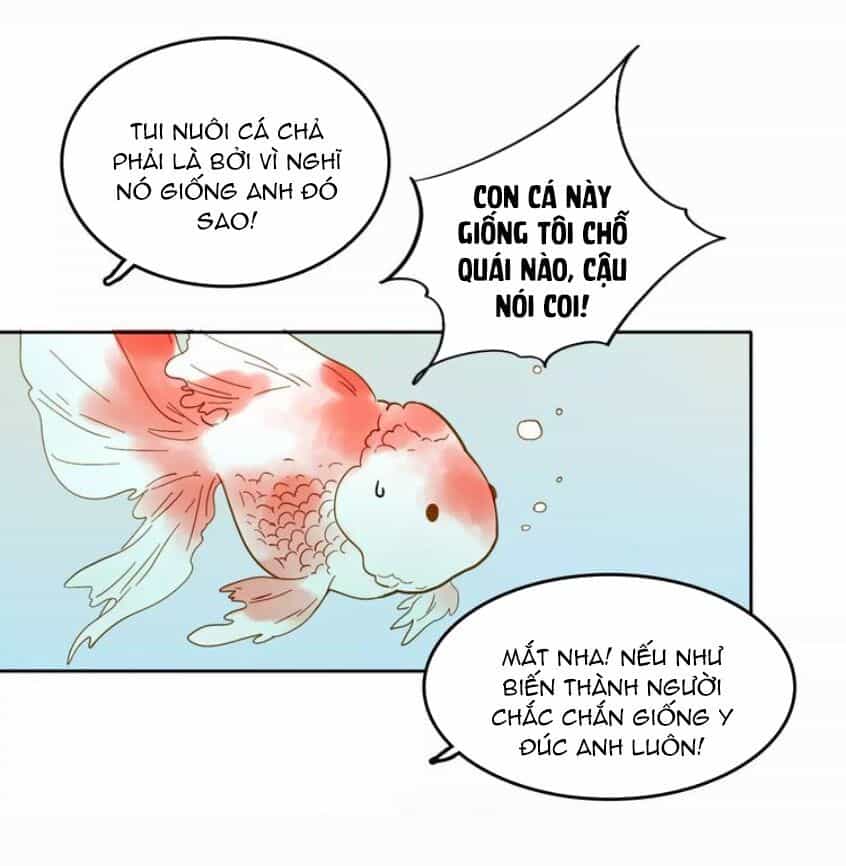 Tại Hạ Là Thần Tình Yêu - Chương 50 - ảnh 4