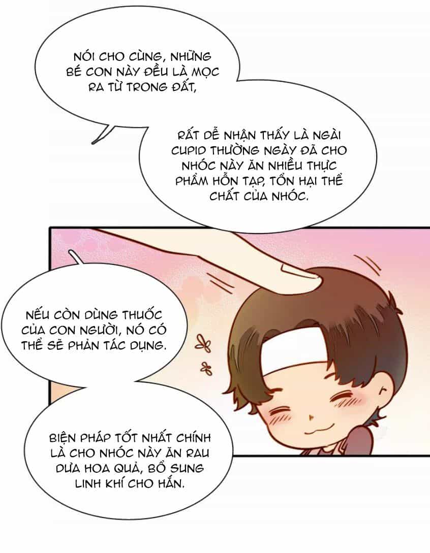 Tại Hạ Là Thần Tình Yêu - Chương 51 - ảnh 11