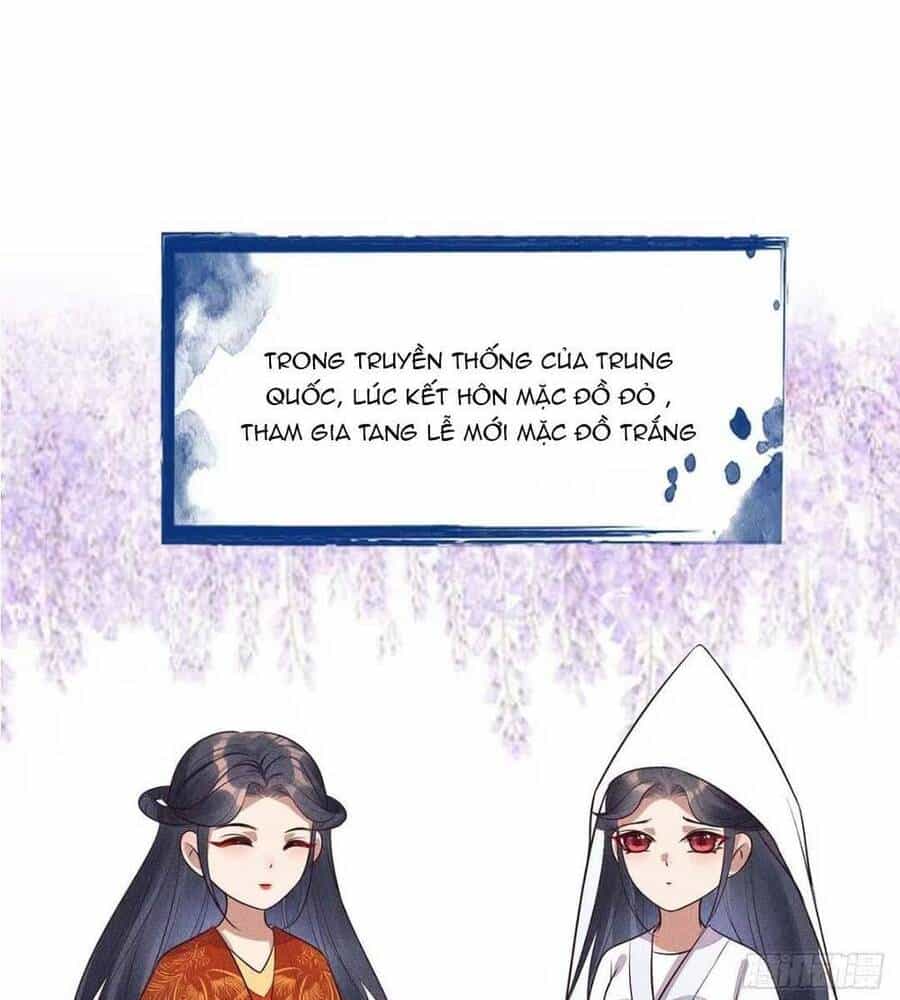 Tái Sinh Trở Lại : Ta Trở Thành Độc Y Thái Tử Phi - Chương 10 - ảnh 63