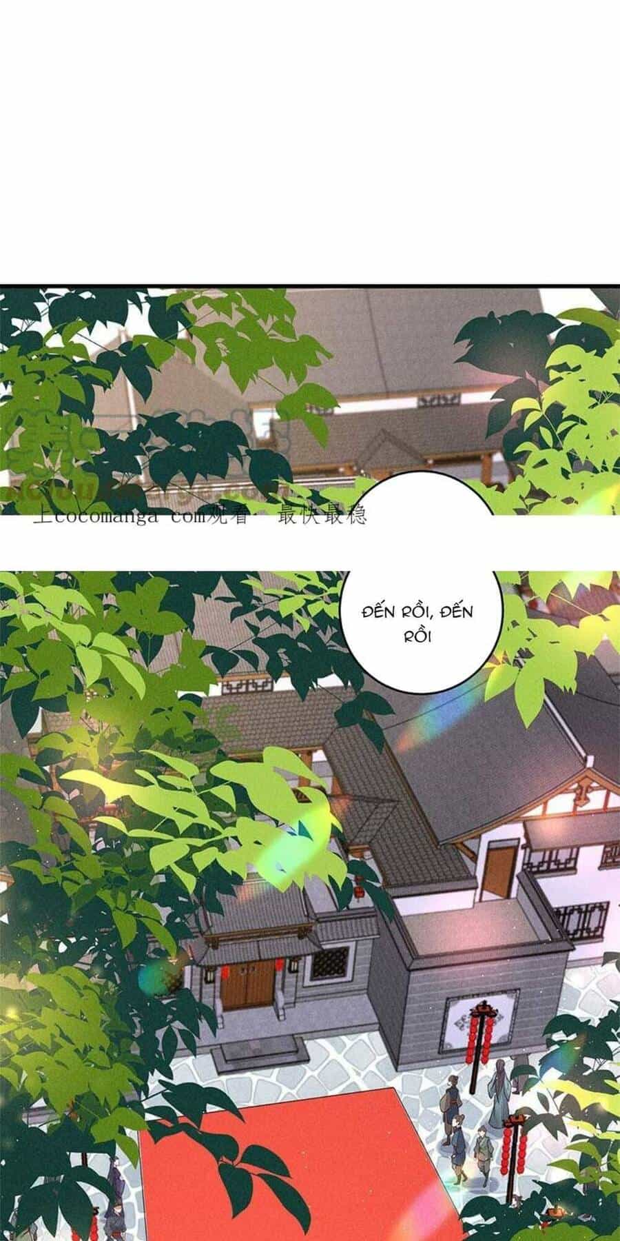 Tái Sinh Trở Lại : Ta Trở Thành Độc Y Thái Tử Phi - Chương 12 - ảnh 2
