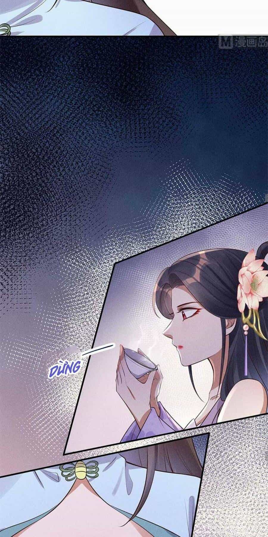Tái Sinh Trở Lại : Ta Trở Thành Độc Y Thái Tử Phi - Chương 13 - ảnh 20