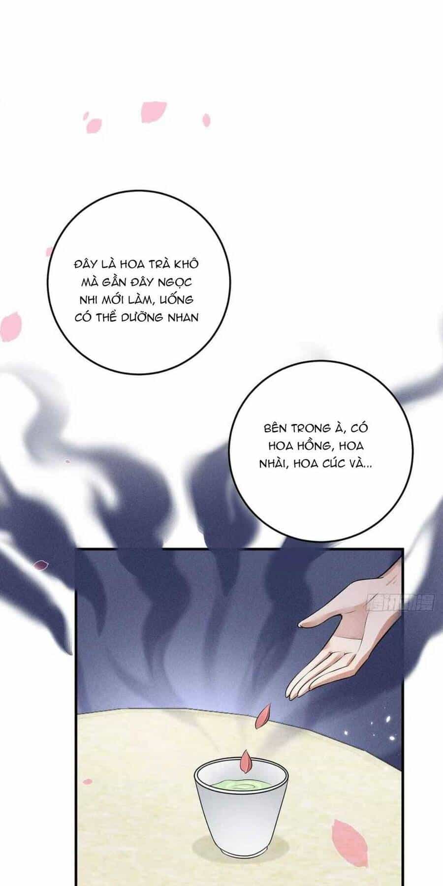 Tái Sinh Trở Lại : Ta Trở Thành Độc Y Thái Tử Phi - Chương 17 - ảnh 56