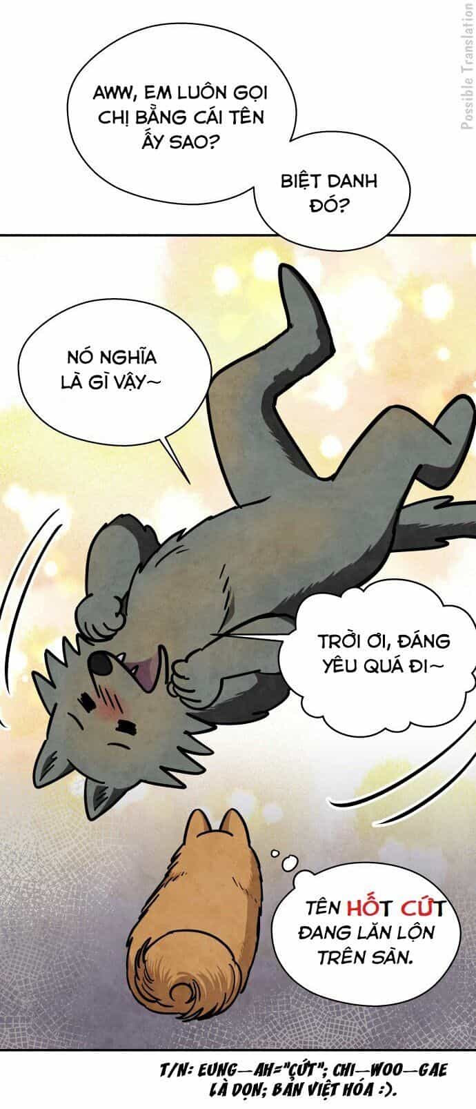 Tai Sói Và Mũ Đỏ - Chương 31 - ảnh 21