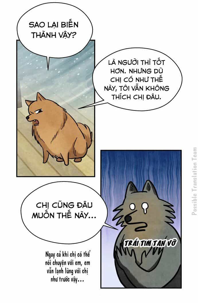 Tai Sói Và Mũ Đỏ - Chương 31 - ảnh 22