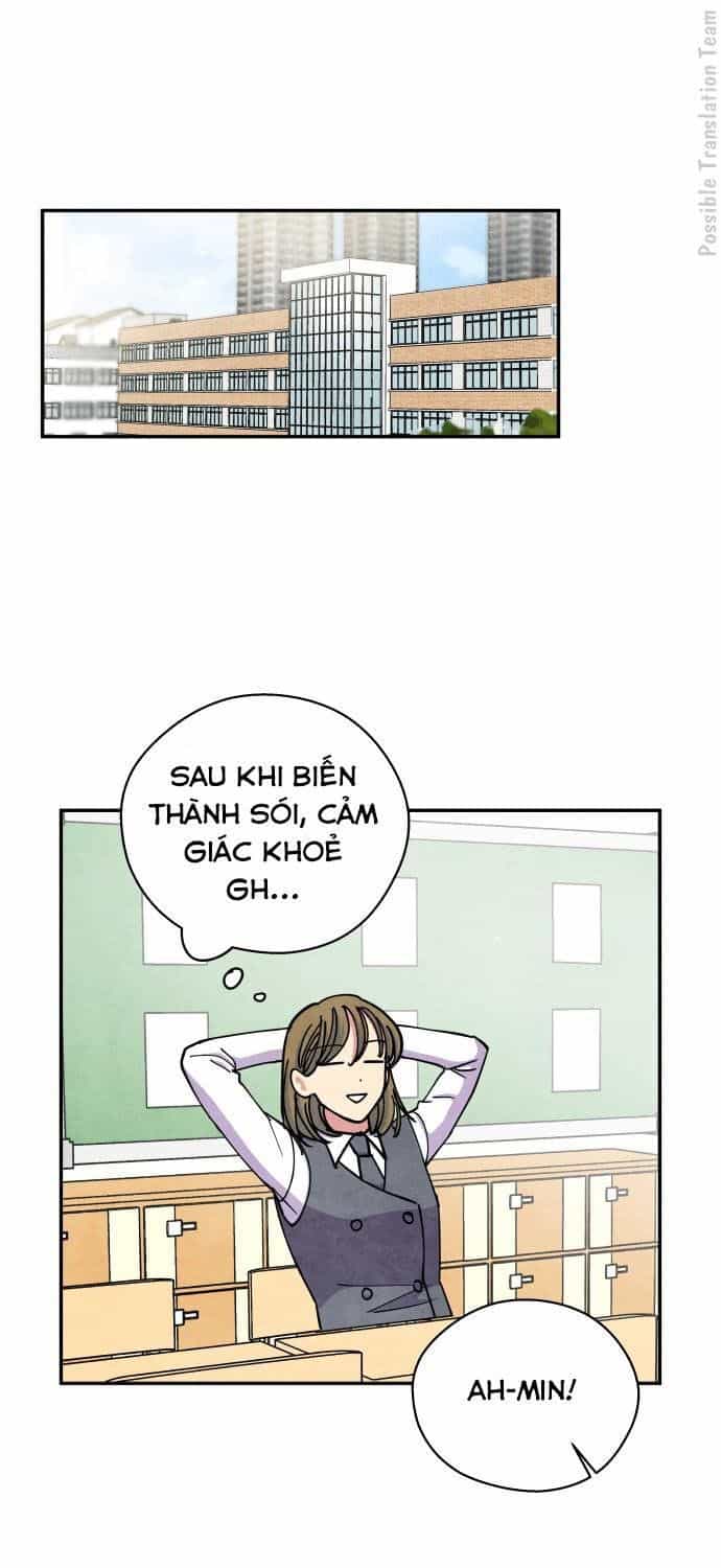 Tai Sói Và Mũ Đỏ - Chương 39 - ảnh 3