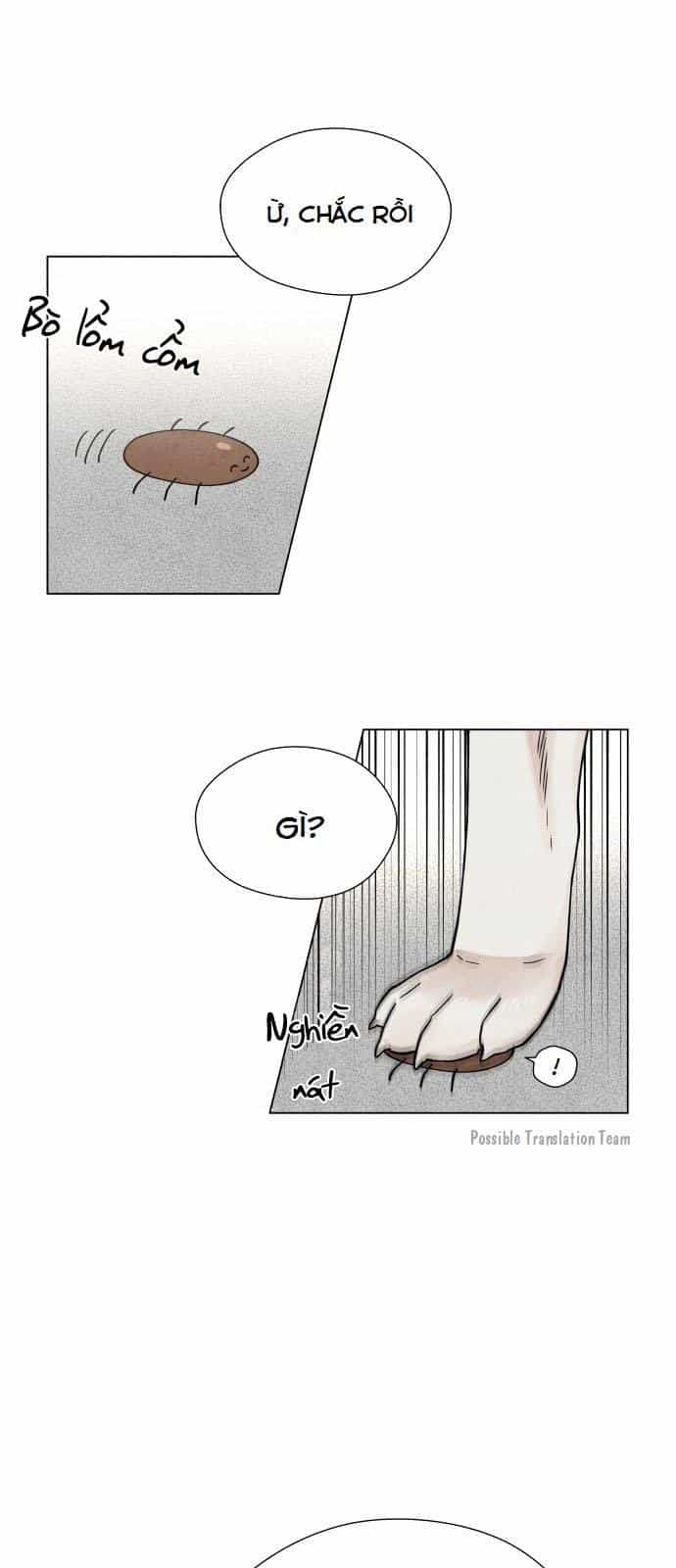 Tai Sói Và Mũ Đỏ - Chương 6 - ảnh 21