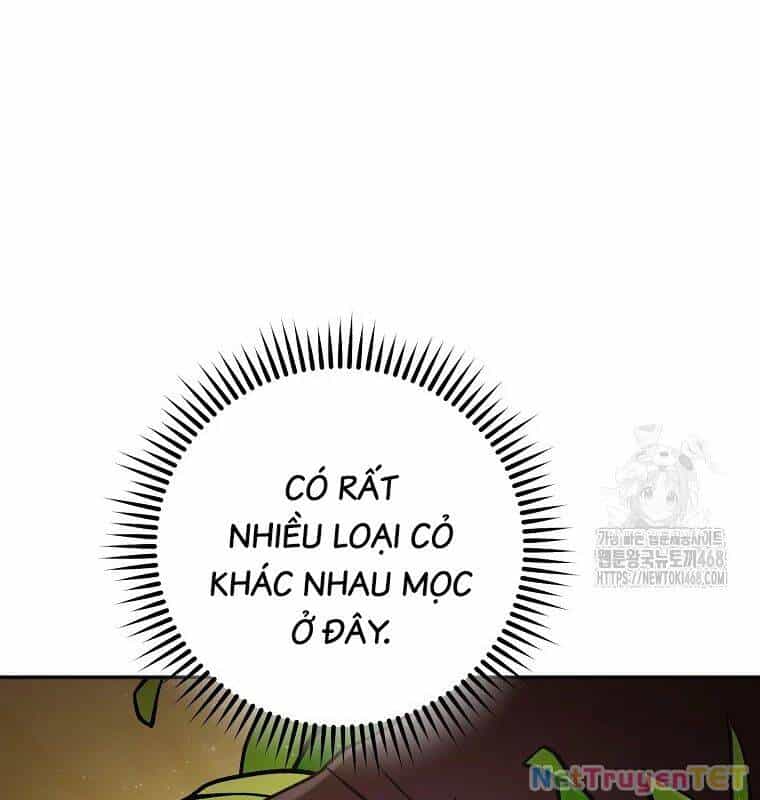 Tái Thiết Hầm Ngục - Chương 235 - ảnh 83
