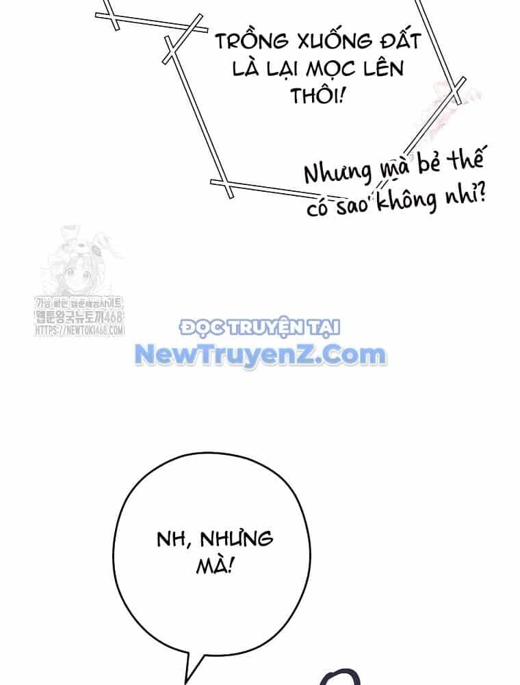 Tái Thiết Hầm Ngục - Chương 248 - ảnh 15