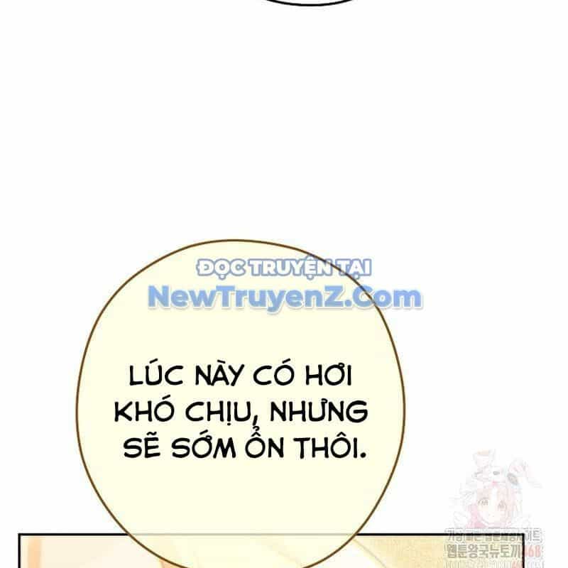 Tái Thiết Hầm Ngục - Chương 249 - ảnh 26