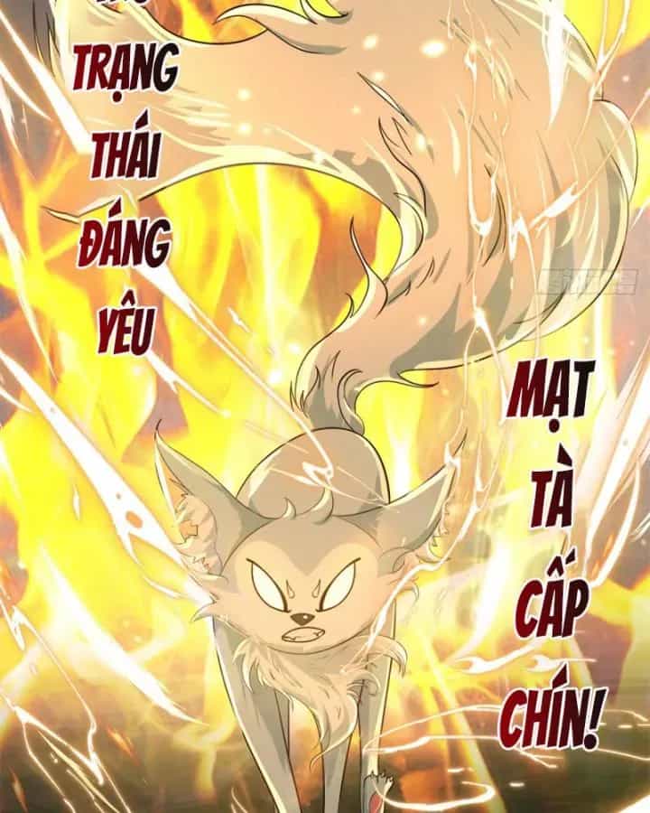 Tân Sủng Mị - Chương 17 - ảnh 27