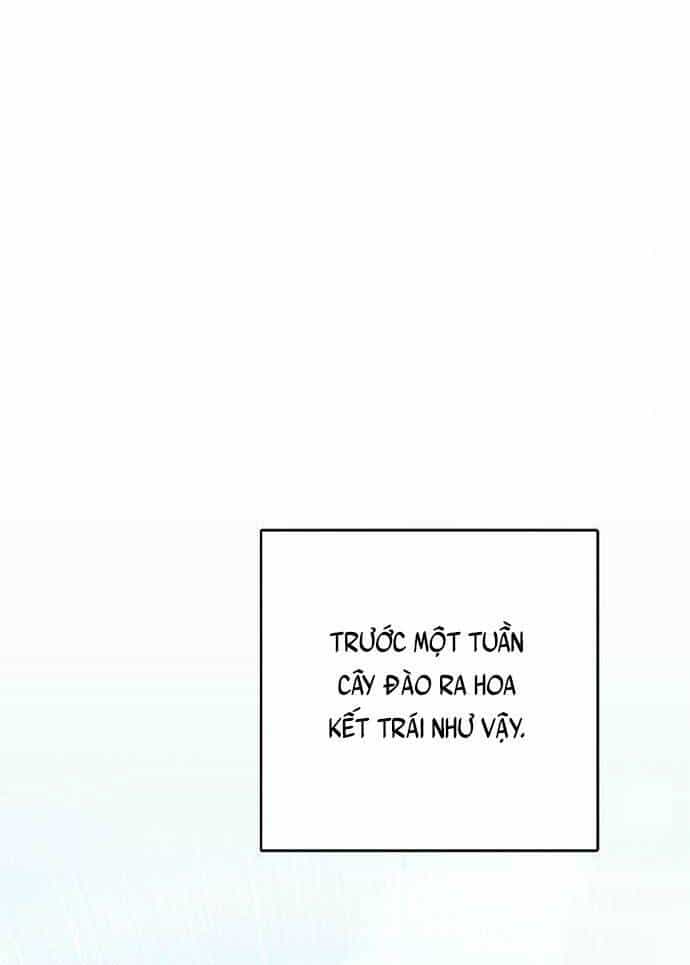 Tăng Lực Thợ Săn - Chương 15 - ảnh 10
