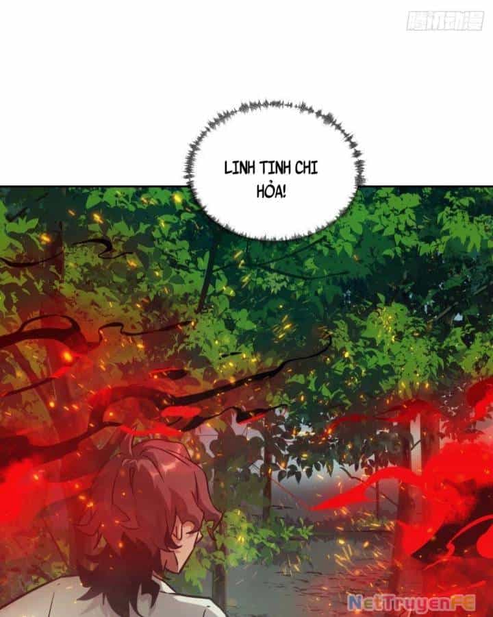 Tay Trái Của Ta Có Thể Dị Biến - Chương 41 - ảnh 27