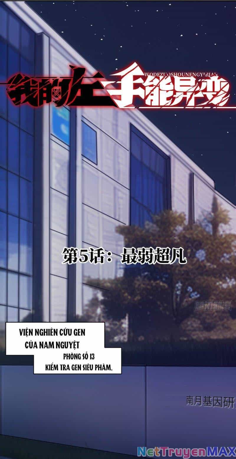 Tay Trái Của Ta Có Thể Dị Biến - Chương 5 - ảnh 2