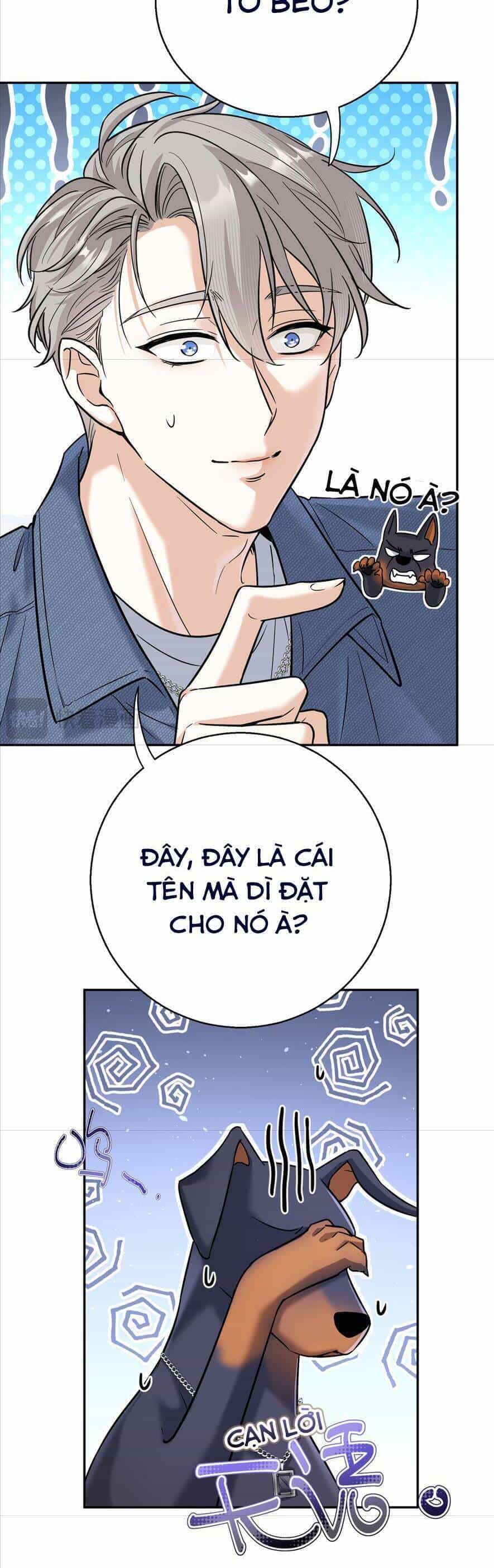 Tên Đàn Ông Này Thật Sự Là Một Tên Cẩu Mà - Chương 11 - ảnh 13