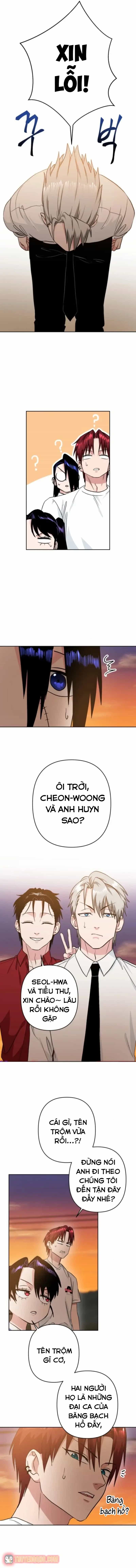 Tên Du Côn Và Tiểu Thư Xã Hội Đen - Chương 15 - ảnh 12