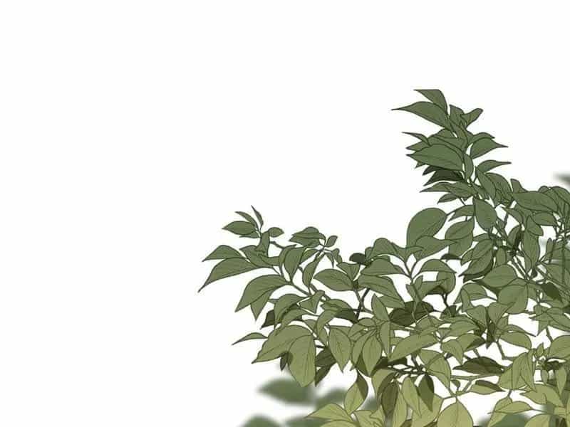 Tên Sát Thủ Này Lại Là Người Ở Rể - Chương 1 - ảnh 95