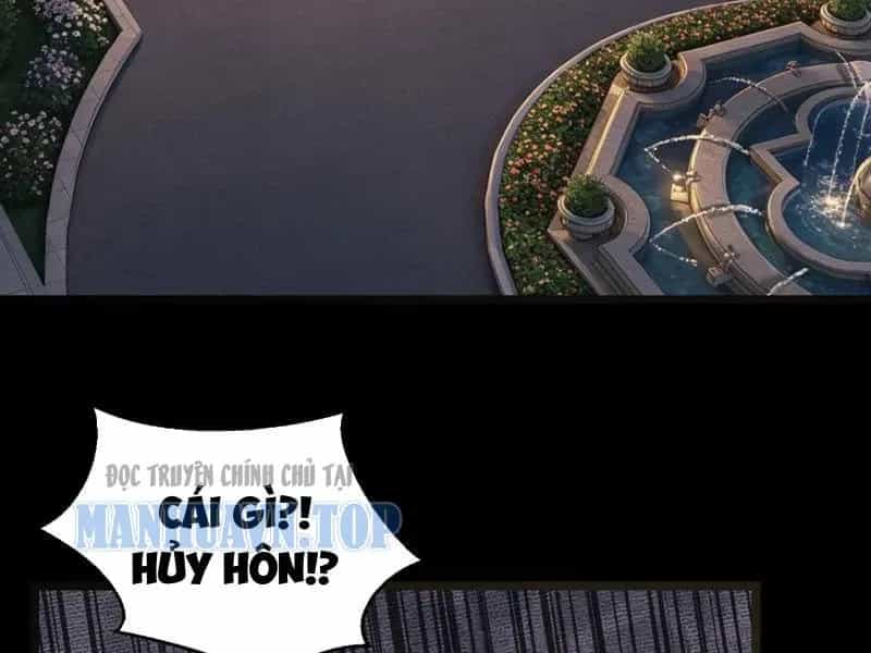 Tên Sát Thủ Này Lại Là Người Ở Rể - Chương 2 - ảnh 120