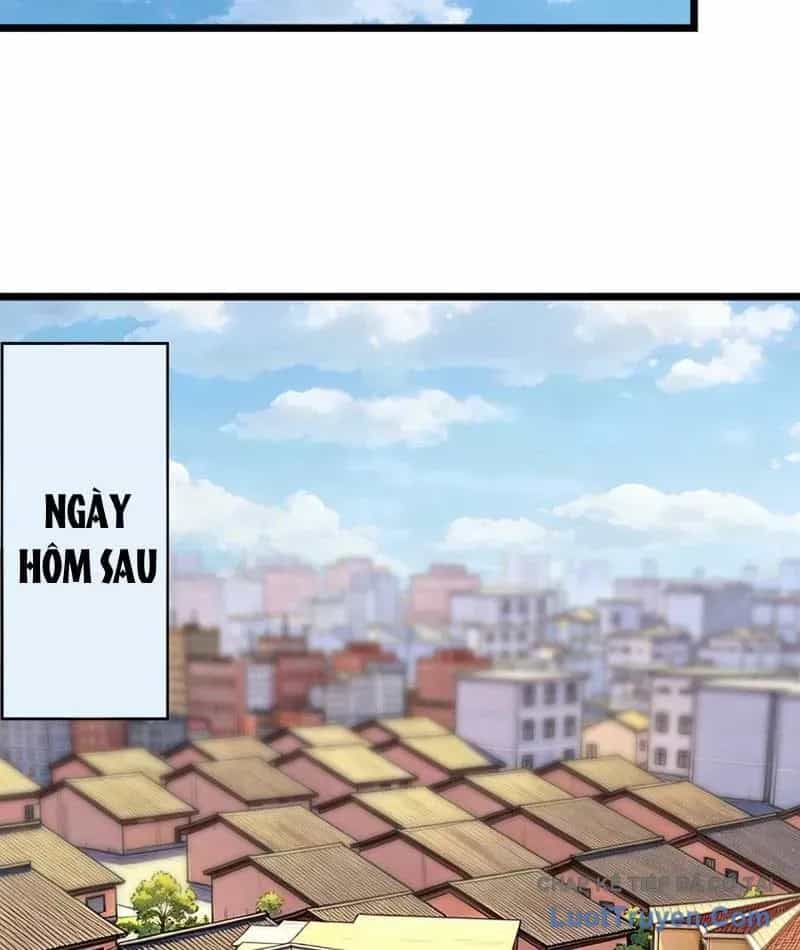 Tên Sát Thủ Này Lại Là Người Ở Rể - Chương 4 - ảnh 36