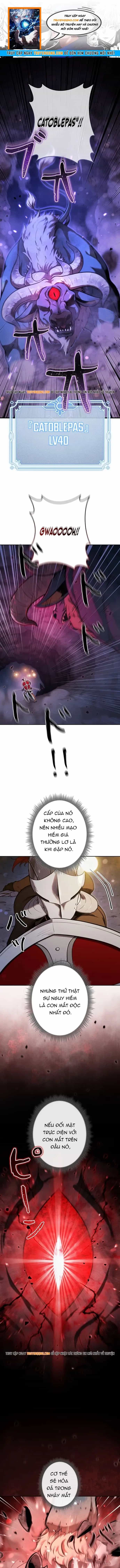 Tensei Shita Saikyo No Monsuta Kusha: Bokun Ryu E No Fukushu - Chương 29 - ảnh 1
