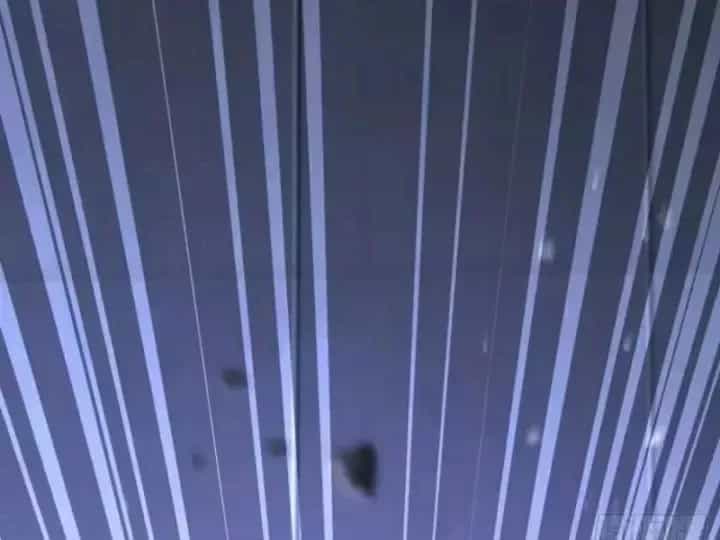 Thái Cổ Thập Hung: Người Khác Ngự Thú Ta Ngự Thú Nương - Chương 148 - ảnh 97